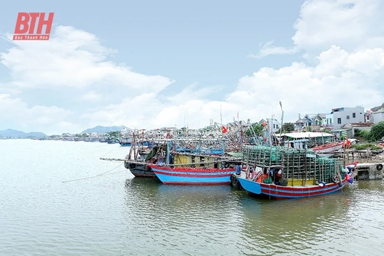Sẵn sàng các phương án ứng phó với mưa bão