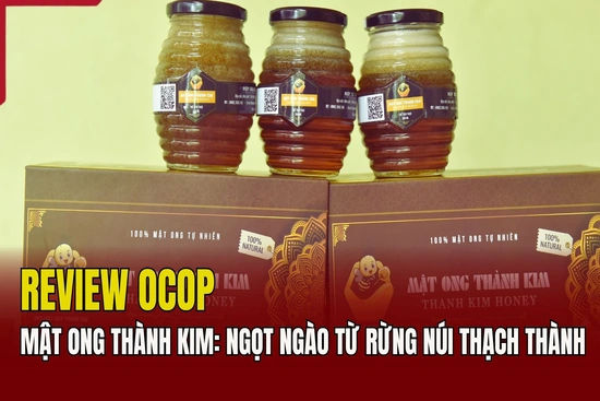 [REVIEW OCOP] Mật ong Thành Kim: Ngọt ngào từ rừng núi Thạch Thành