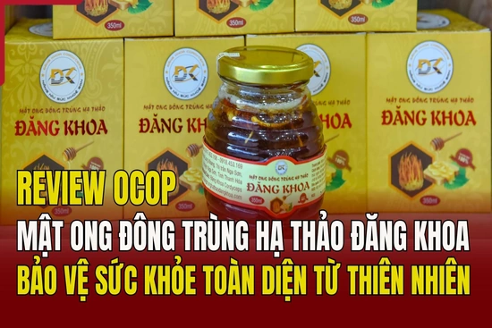 [REVIEW OCOP]  Mật ong đông trùng hạ thảo Đăng Khoa: Bảo vệ sức khỏe toàn diện từ thiên nhiên