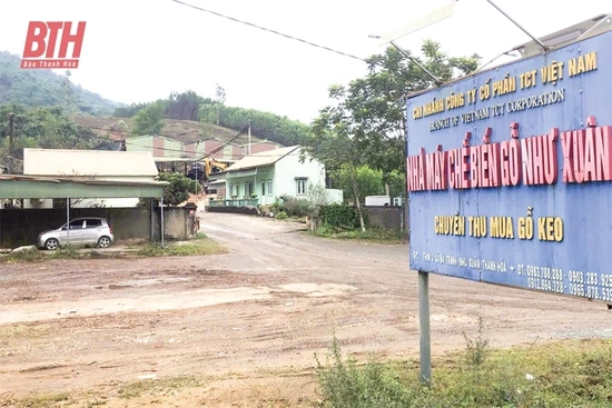 Phát triển rừng bền vững (Bài 2): Tiềm năng mở nhưng còn nhiều “rào cản”