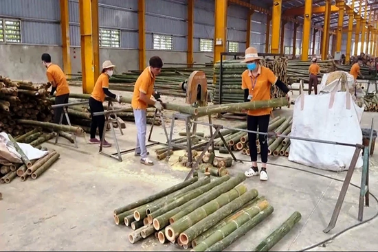 Lang Chánh thực hiện các chương trình link m88, khâu đột phá