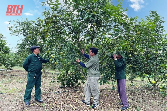 Cẩm Thủy giải “bài toán” tích tụ, tập trung đất đai cho sản xuất nông nghiệp