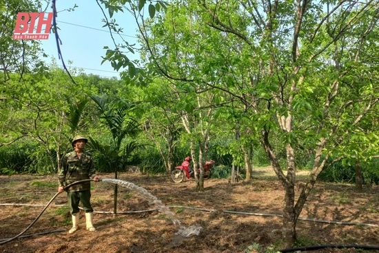 Cựu chiến binh gương mẫu - đi đầu trong phát triển kinh tế