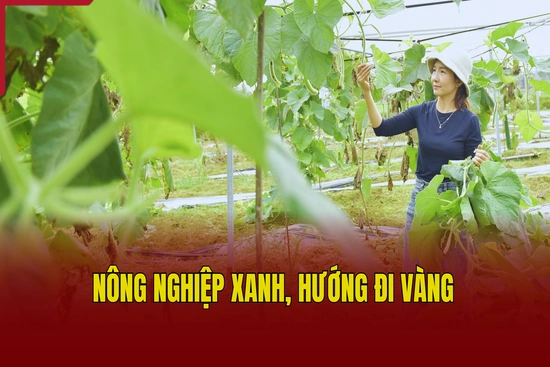 Nông nghiệp xanh, hướng đi vàng