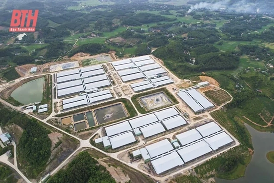 Tháo gỡ khó khăn, đẩy nhanh tiến độ các dự án chăn nuôi quy mô lớn