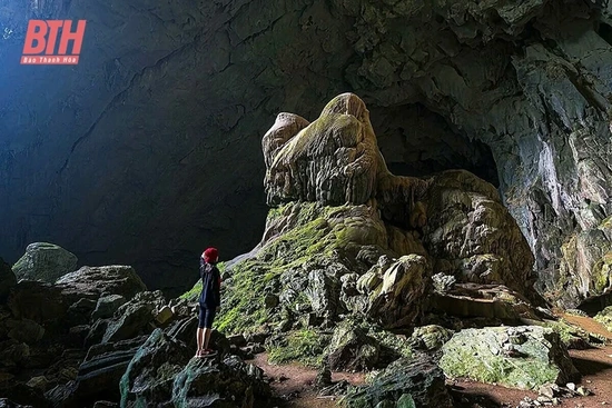 Kỳ bí hang Dơi