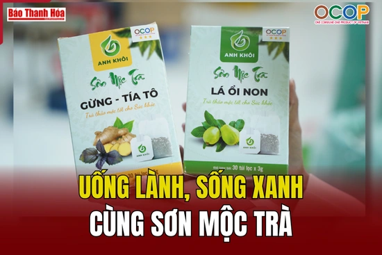 [REVIEW OCOP] Uống lành, sống xanh cùng Sơn Mộc Trà