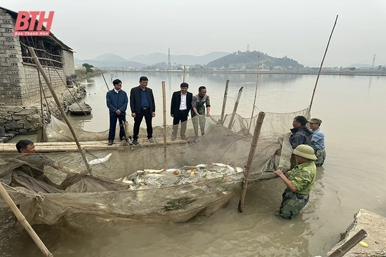 Phát triển nuôi trồng thủy sản nước ngọt