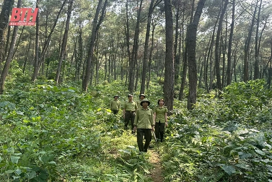 Giữ màu xanh đại ngàn