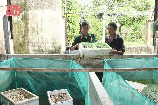 Đoàn kết giúp nhau phát triển kinh tế