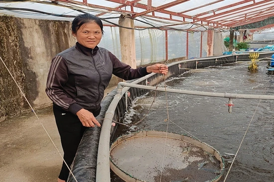 “Chắp cánh” cho những ý tưởng, dự án khởi nghiệp do phụ nữ làm chủ