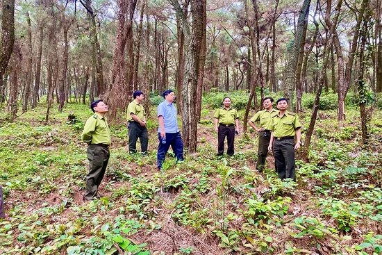 Căng sức giữ rừng mùa nắng nóng