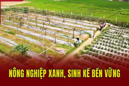 Nông nghiệp xanh, sinh kế bền vững