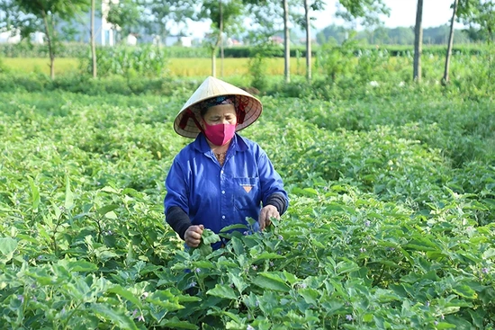 Vai trò của hội khuyến học trong trung tâm học tập cộng đồng