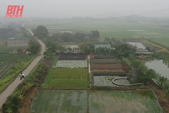 Cơ chế riêng để cán đích huyện nông thôn mới nâng cao