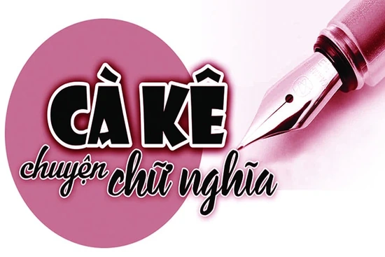 “Niên khóa” và “Năm học”