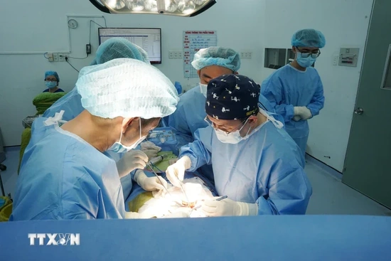 Hoàn thành 7 ca ghép tạng xuyên Việt từ một người chết não