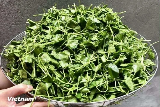 Rau má - “thần dược” từ thiên nhiên cho làn da khỏe đẹp