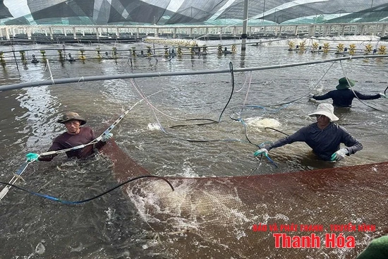 Khi công nghệ thành “bạn đồng hành”