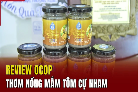 [REVIEW OCOP] Thơm nồng mắm tôm Cự Nham