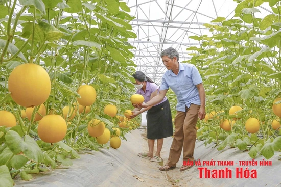 Khó khăn khi phát triển nông nghiệp công nghệ cao