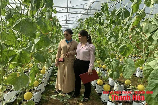 Đẩy mạnh các phong trào thi đua trong hoạt động tín dụng chính sách