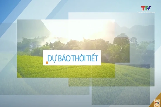 Dự báo thời tiết đêm 14 ngày 15/8/2025