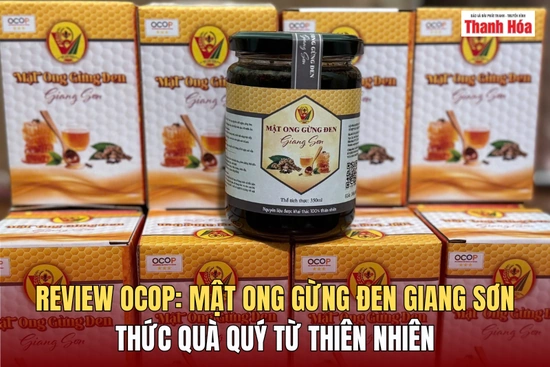 [REVIEW OCOP] Mật ong ngâm gừng đen Giang Sơn: Thức quà quý từ thiên nhiên