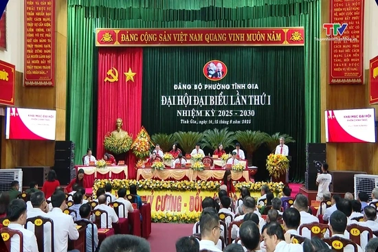 [Video] Đại hội đại biểu Đảng bộ phường Tĩnh Gia lần thứ nhất nhiệm kỳ 2025-2030