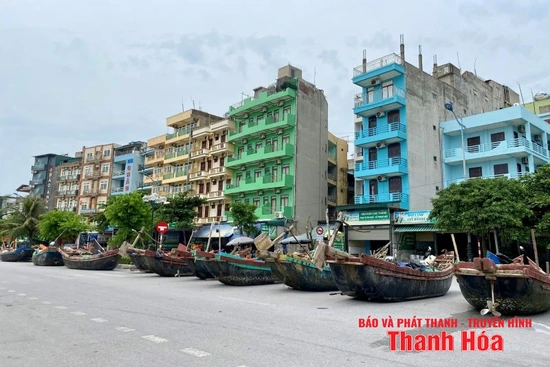 100% tàu thuyền của ngư dân Sầm Sơn đã vào nơi tránh trú an toàn