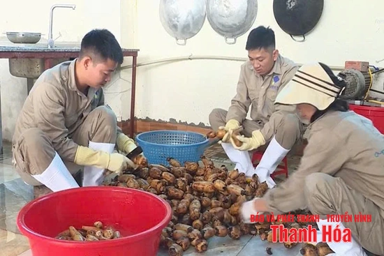 Đẩy mạnh chế biến sâu để nâng cao giá trị nông sản