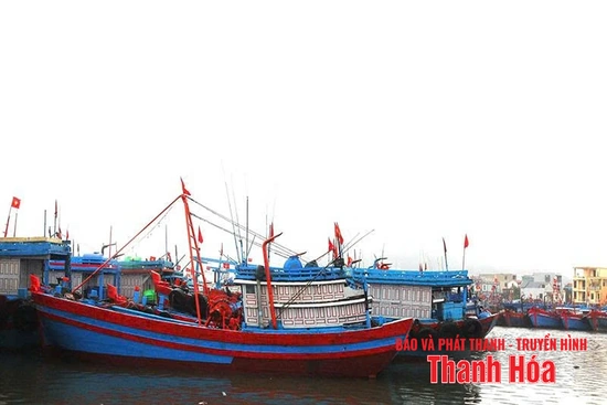 Tái cơ cấu đội tàu khai thác hải sản