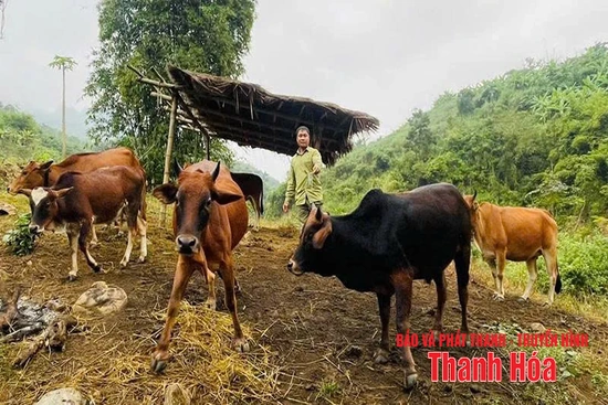 Cầu nối giúp người dân xã Mường Chanh thoát nghèo