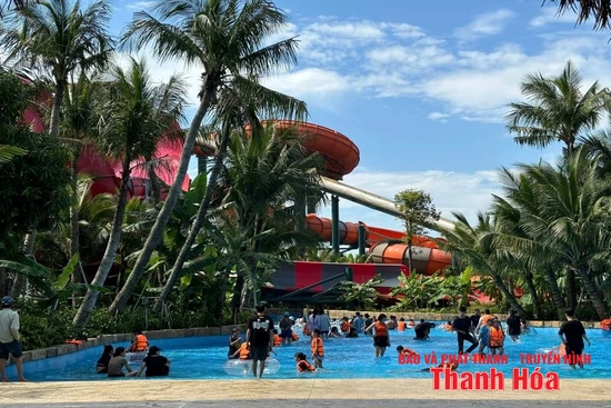 Ngành văn hóa chủ động ứng phó với bão số 5