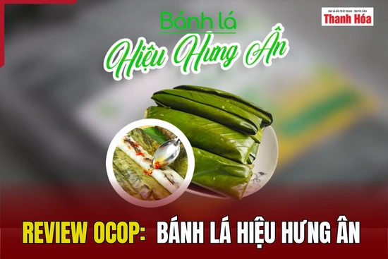 [REVIEW OCOP] Bánh lá Hiệu Hưng Ân