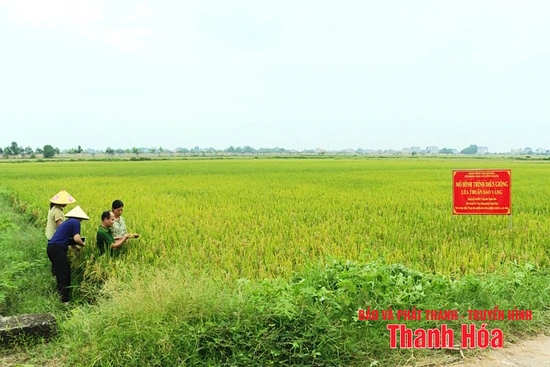 “Chìa khóa” nâng cao năng lực cạnh tranh cho các tổ chức và doanh nghiệp khoa học công nghệ