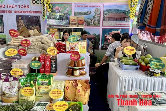 Khi tài sản trí tuệ trở thành đòn bẩy phát triển nông sản