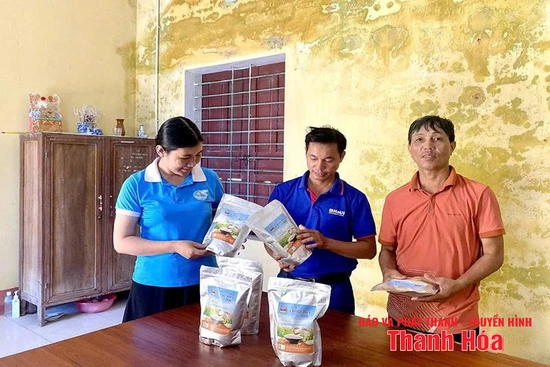 Nâng tầm hạt gạo xứ Thanh