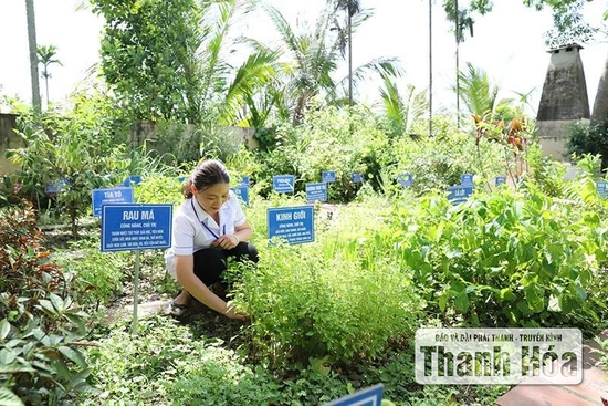 Kết hợp y học hiện đại và y học cổ truyền trong điều trị bệnh