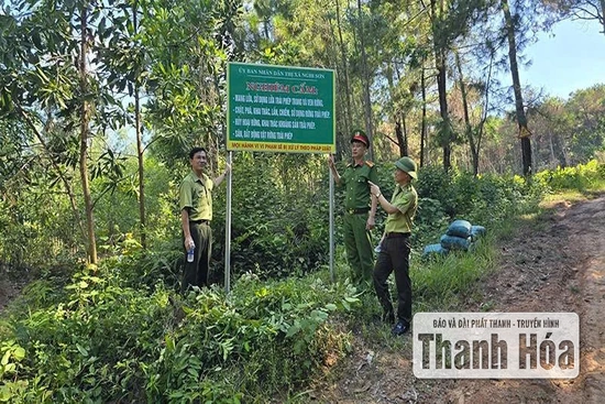 Ban Quản lý rừng phòng hộ Nghi Sơn tăng cường canh lửa, giữ rừng