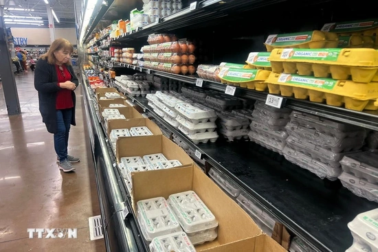 Bùng phát bệnh Salmonella tại nhiều bang ở Mỹ