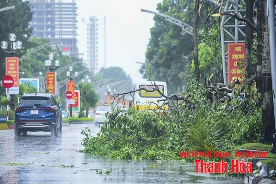 Cây xanh gãy đổ, nhiều tuyến phố ngập úng sau bão số 5
