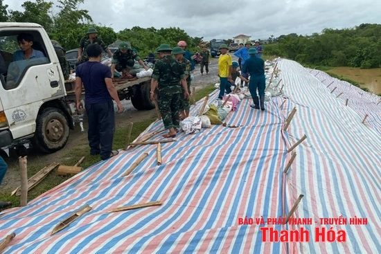 Xã Thọ Xuân tập trung lực lượng xử lý sự cố sạt mái đê