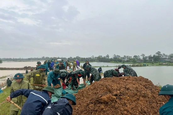 Phường Quảng Phú tập trung cao độ xử lý sự cố sạt lở chân đê
