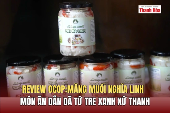 [REVIEW OCOP] Măng muối Nghĩa Linh - Món ăn dân dã từ tre xanh xứ Thanh