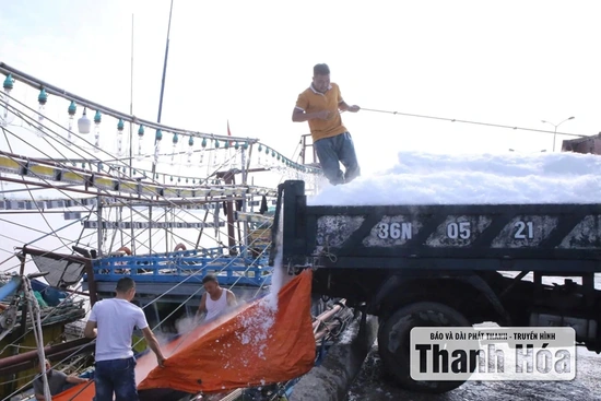 Giải “bài toán” thiếu lao động nghề biển