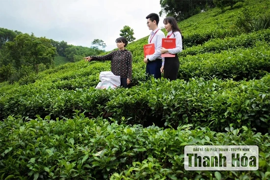 Đẩy mạnh sản xuất, kinh doanh, mở rộng thị trường