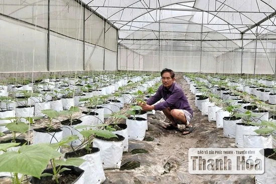 Mở lối nâng cao đời sống cho người dân Thượng Ninh
