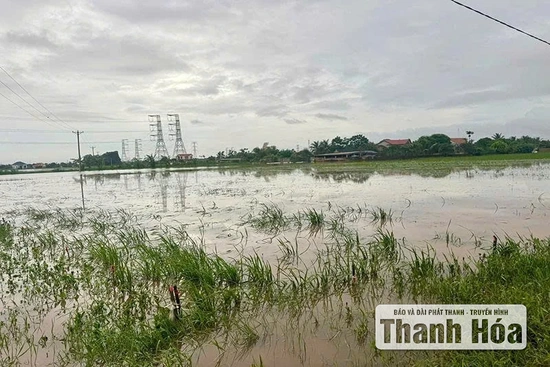 Sớm xây dựng công trình thủy lợi tiêu thoát nước cho các xã: Nga An, Tân Tiến, Hồ Vương
