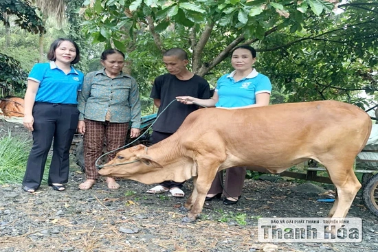 Trao “cần câu” cho hội viên, phụ nữ khó khăn vươn lên thoát nghèo